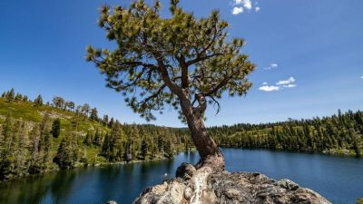 CIO 2025 Outlook: Rising volatility in a risk-on environment