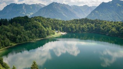 CIO 2025 Outlook: Rising volatility in a risk-on environment